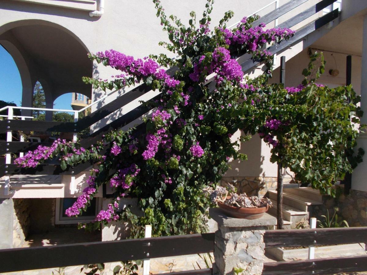 ורסי Apartman Milutin מראה חיצוני תמונה